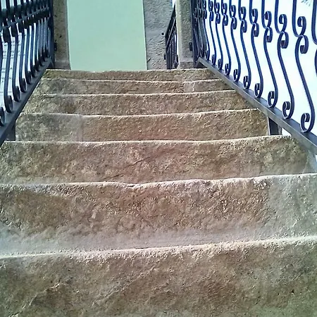 مزرعة للإقامة Quinta Do Carvalhal