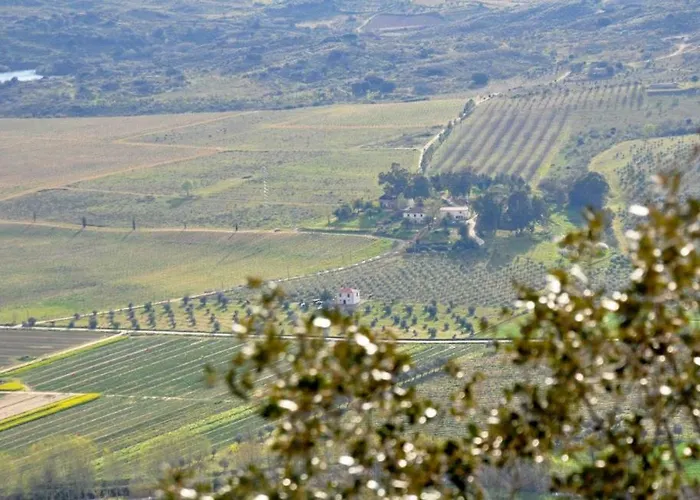 农家乐 Quinta Do Carvalhal Horta da Vilarica